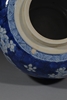 Picture of Kangxi Period Blue White Cracked Ice Hawthorne Jar with Carved Wood Lid Jade Finial